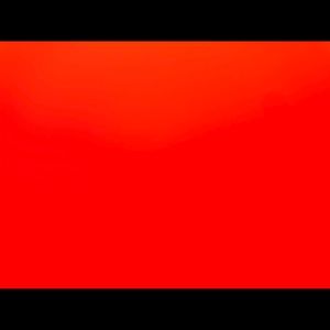 Meet your Posher, Kaylin